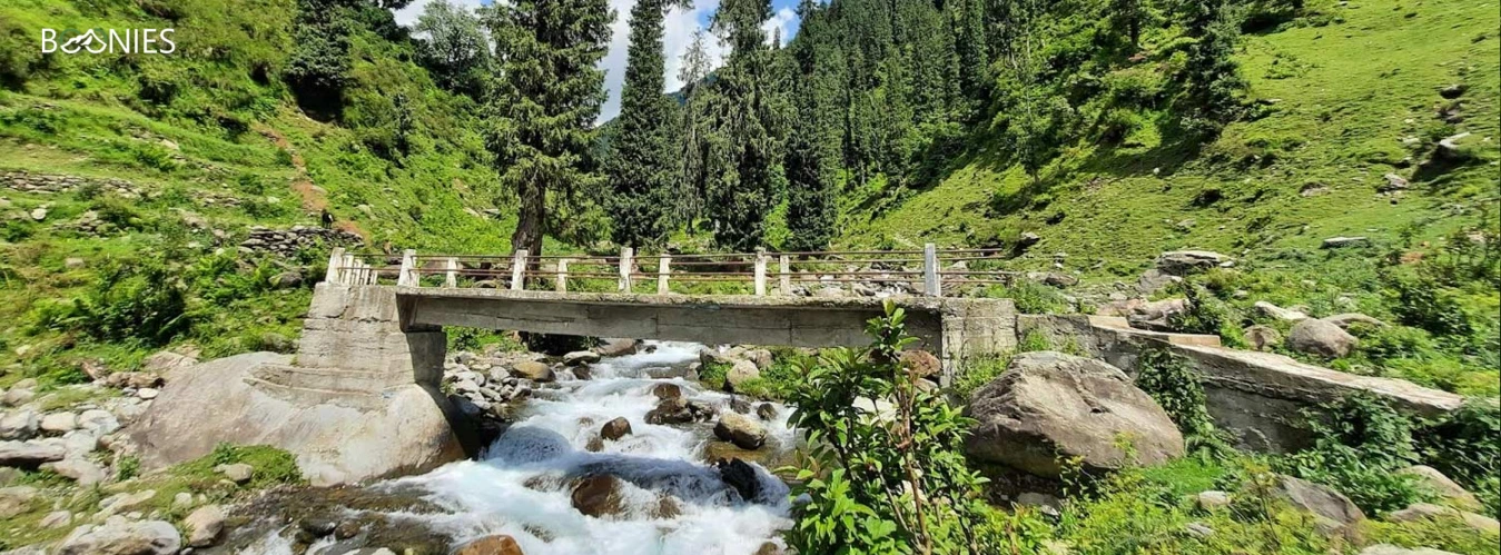 Barot: A Secret Himalayan Sanctuary in the Dhauladhar Mountains