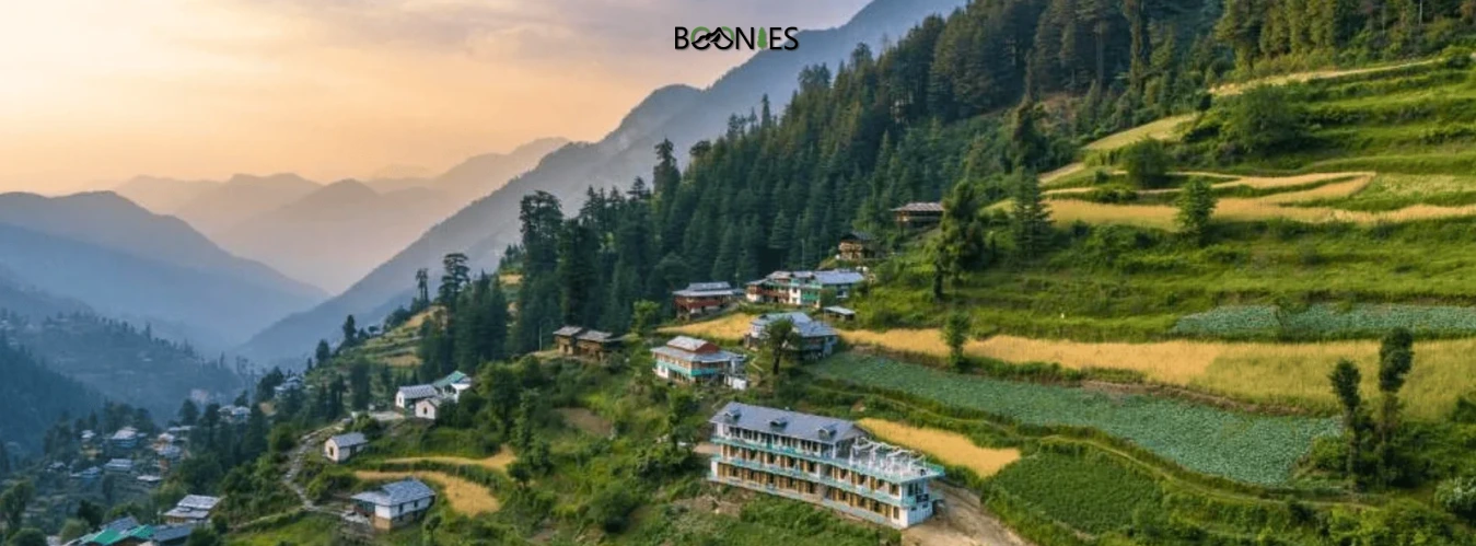 Shoja: A Calm, Unconventional Getaway in Seraj Valley